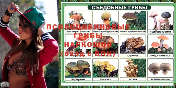 таблы Алзамай