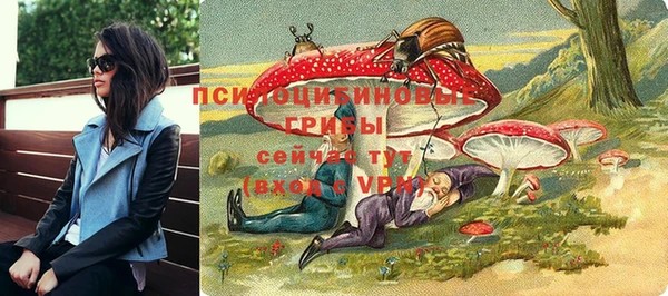 мяу мяу мука Баксан