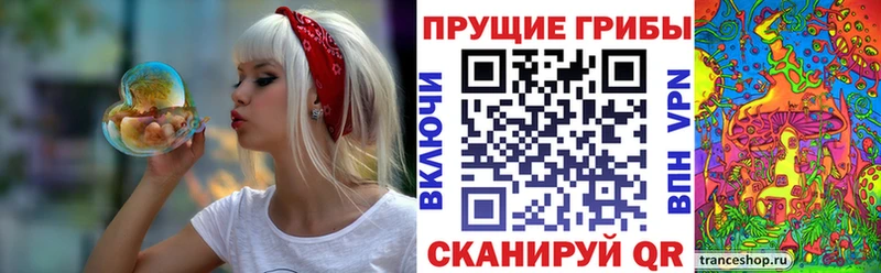 Псилоцибиновые грибы мицелий блэк спрут tor Строитель