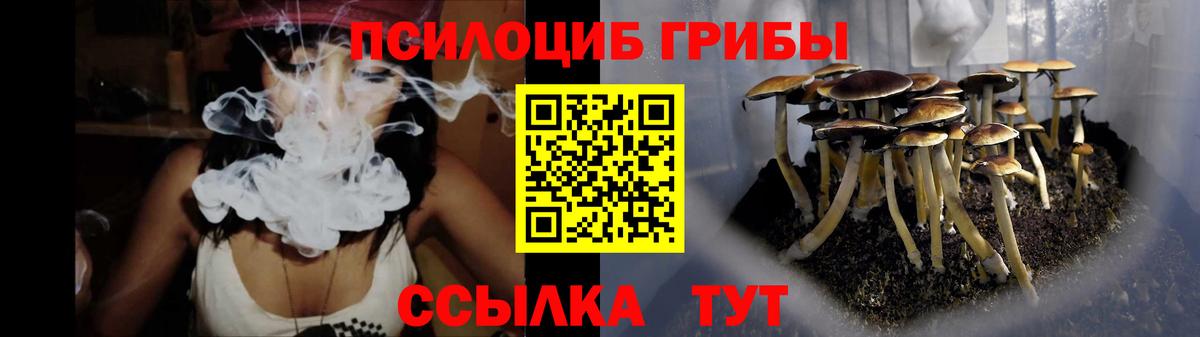 Строитель  Псилоцибиновые грибы прущие грибы  Вход с VPN 